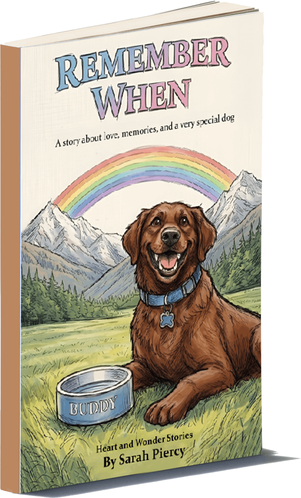 Paperback Of Remember When