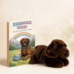 Paperback And Plush Toy Bundle